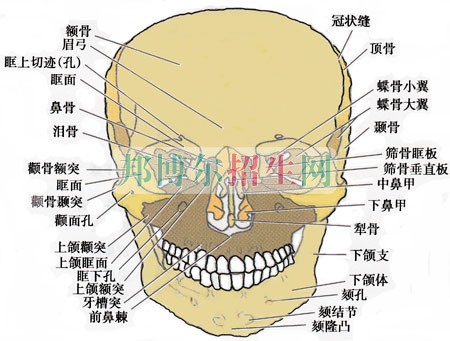 男生讀口腔醫學怎么樣