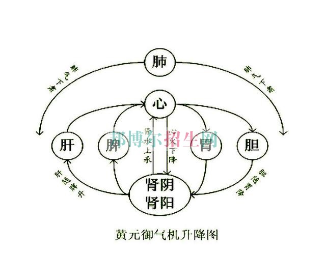 初中畢業可以學中醫學嗎