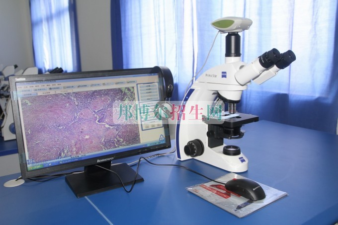 初中畢業學醫學檢驗專業怎樣