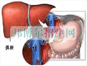 成都哪些大專學校的麻醉學好