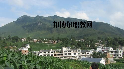 納雍中等職業學校地址在哪里