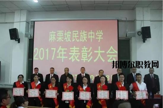 麻栗坡縣民族職業高級中學2020年招生辦聯系電話