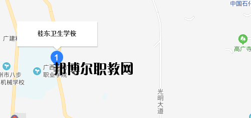 桂東衛生學校地址在哪里