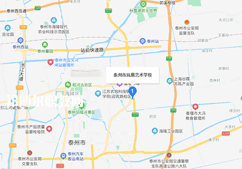 泰州市鳳凰藝術學校地址在哪里