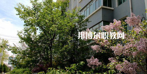 蘭州科技職業學院2021年招生辦聯系電話